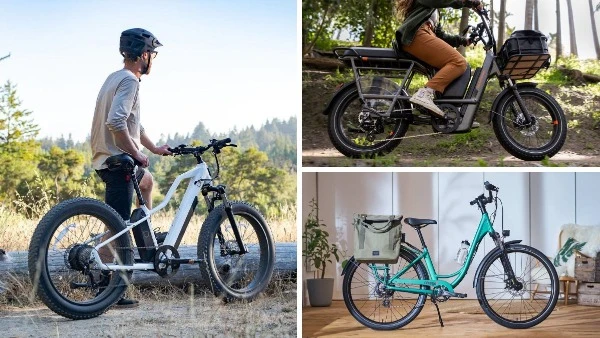 Die besten E-Bike-Marken