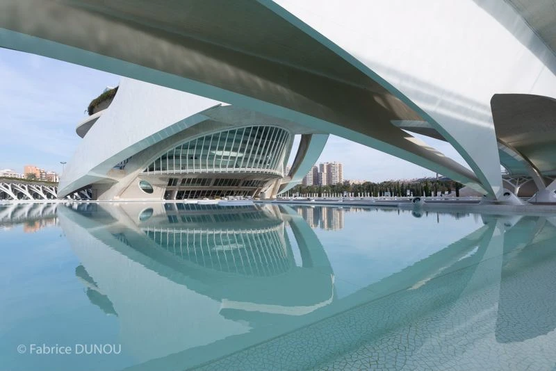 PALAIS DES ARTS, VALENCE ARCHITECTE : SANTIAGO CALATRAVA