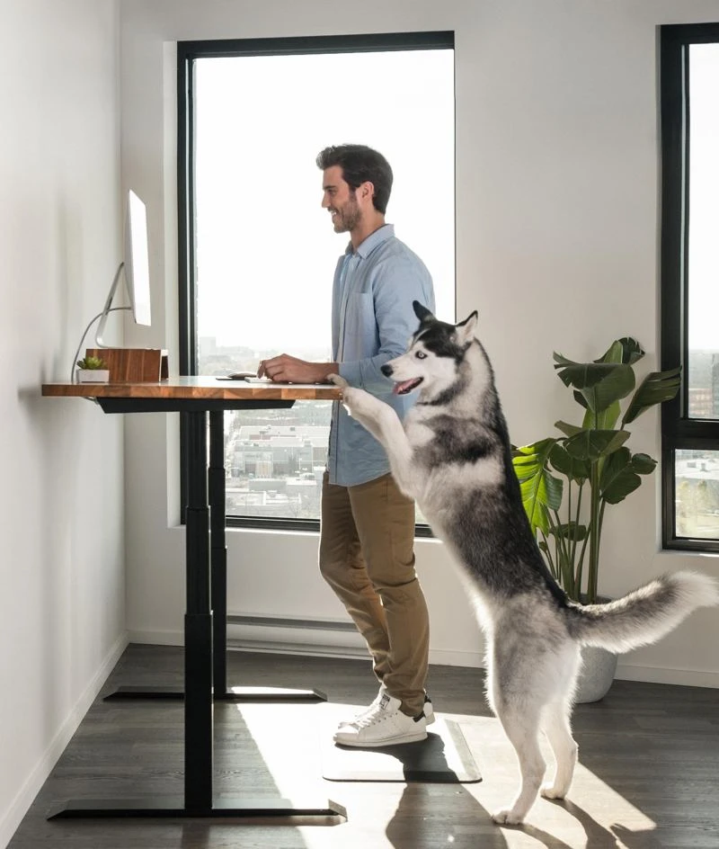 ergonofis Sway Desk Walnut