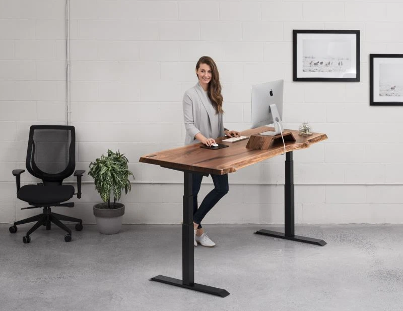 ergonofis  Alive Sit-Stand Desk - Stand