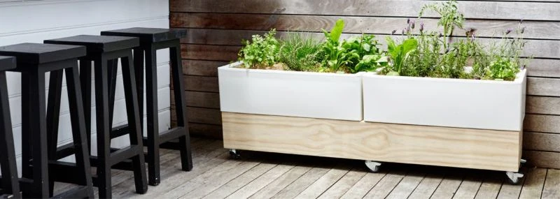 Glowpear Cafe Planter