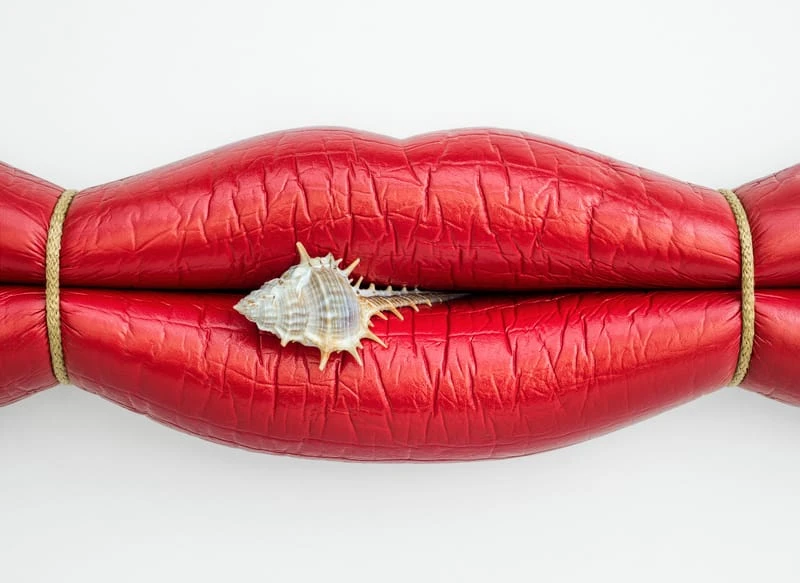 Surreal Lips - Photo by Jose Lai�o