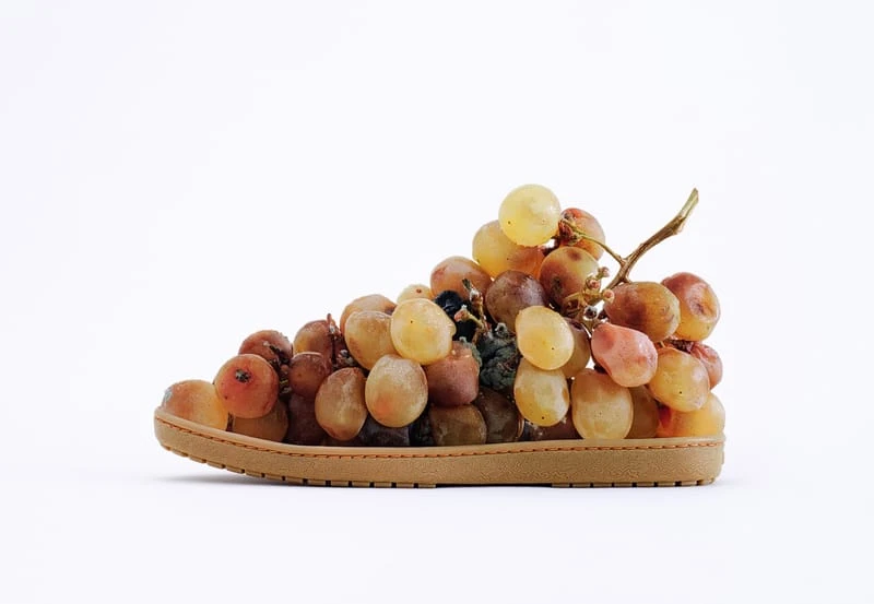 Grapes Shoe - Photo by Jose Lai�o