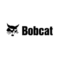 Bobcat