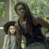 Michonne Hawthorne (The Walking Dead)