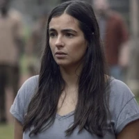 Tara Chambler (The Walking Dead)