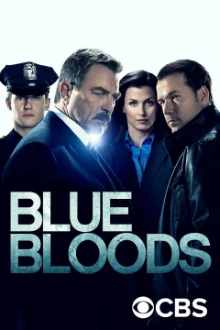 Blue Bloods (2010)